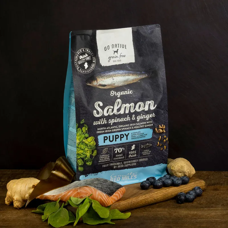 Go Native Salmon and Ginger Puppy 12kg